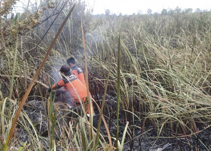 1,5 Hektare Lahan di Pinggir Jalan Lintas Palembang-Indralaya Desa Arisan Jaya Ogan Ilir Terbakar