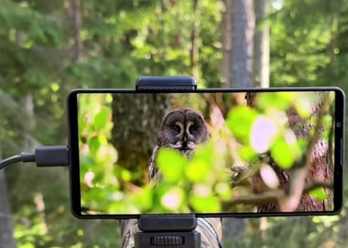 Bocoran Sony Xperia 10 VII, Perubahan Desain Kamera Jadi Horizontal, Segini Perkiraan Harganya
