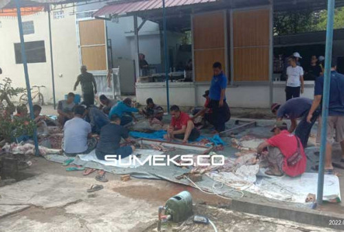 Kelakuan Aldi, Musala-Masjid di Bukittinggi Batal Kurban