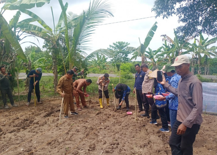 Bhabinkamtibmas Polsek Rantau Alai Ogan Ilir Hadiri Kegiatan Penanaman Jagung di Desa Tanjung Mas