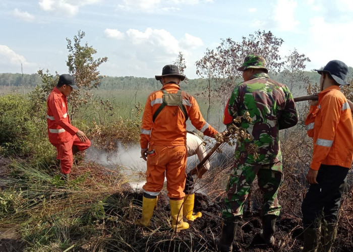 Kondisi Terakhir, 23 Titik Api Karhutla Menyebar Masif di Kabupaten Banyuasin