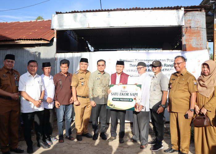 Ratu Dewa Serahkan Sapi Kurban Bantuan Presiden Prabowo di SU 1, Warga Sambut Suka Cita