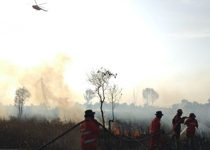 Kebakaran Lahan Seluas 5 Hektare di Sungai Rambutan Ogan Ilir, Pemadaman Dilakukan Lewat Udara dan Darat