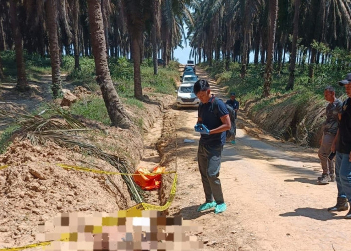 Warga 7 Ulu Ditemukan Tewas di Perkebunan Sawit PT Hindoli, Ini Hasil Penyelidikan Polres Muba