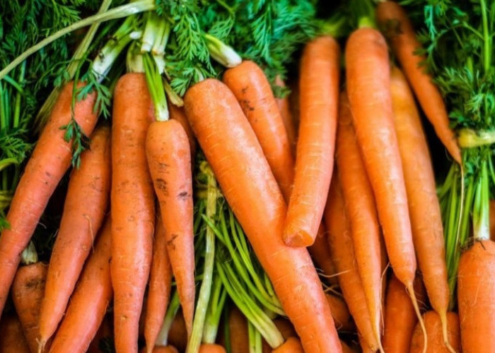 Kaya Nutrisi, Yuk Simak 8 Buah dan Sayuran Tak Perlu Dikupas Kulitnya