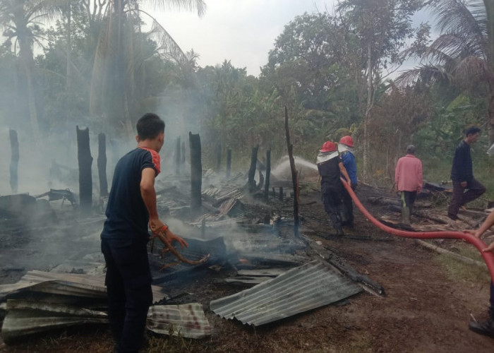 Api Hanguskan Rumah Panggung Milik Nenek Berusia 85 Tahun di OKI, Diduga Api dari Tungku Masak