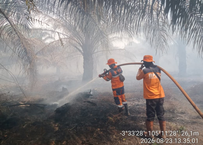 10 Titik Karhutla Terjadi di OKI Fokus Penanganan di 5 Kecamatan, Terpantau 537 Hotspot