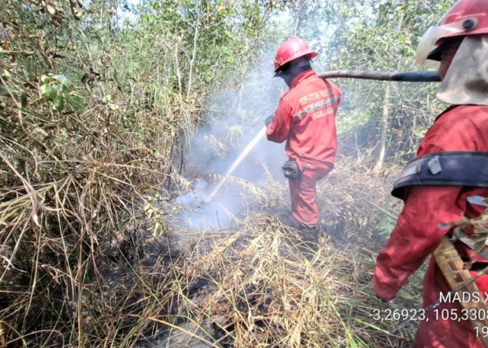 Helikopter Water Bombing Dikerahkan Pemadaman Lahan Gambut di Tulung Selapan Ilir 