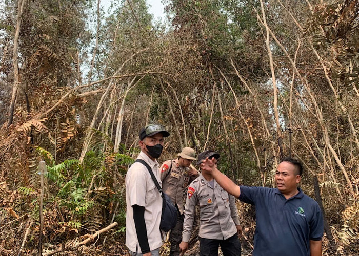 Cegah Karhutla Meluas, Polsek Sungai Rotan Bersama Brimob dan Damkar Padamkan Titik Api di Suka Merindu