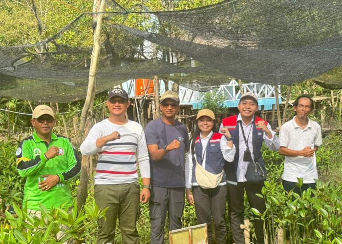 HKI Hadirkan 40 Program TJSL di Tahun 2024, Salah Satunya Restorasi Mangrove di Banyuasin Sumsel