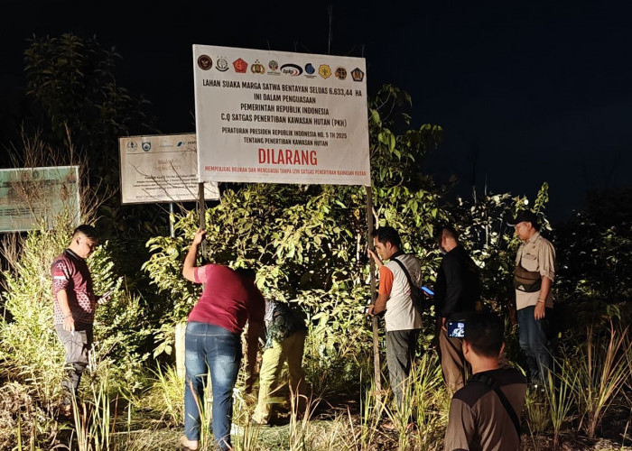Lahan Suaka Marga Satwa Seluas 6.633,44 Hektare Bentayan Banyuasin Diambil Alih Pemerintah
