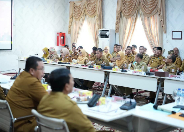 Kepala Dinas Deg-deg an, Agustus Ini Eksekusi Perampingan OPD di Pemkab Banyuasin?