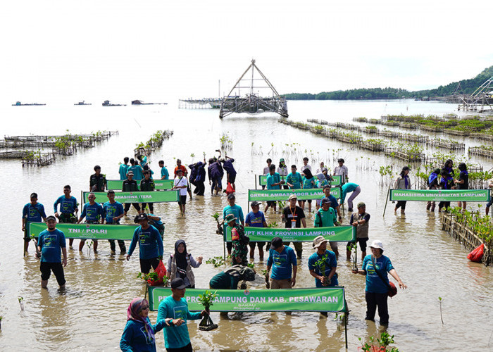 Hari Lahan Basah Sedunia, PT Bukit Asam Ikut Aksi Tanam Mangrove