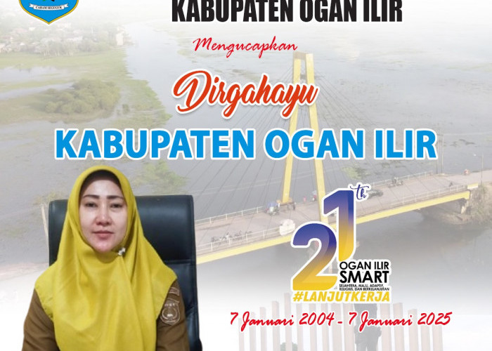 Dinas Penanaman Modal dan Pelayanan Terpadu Satu Pintu Kabupaten Ogan Ilir