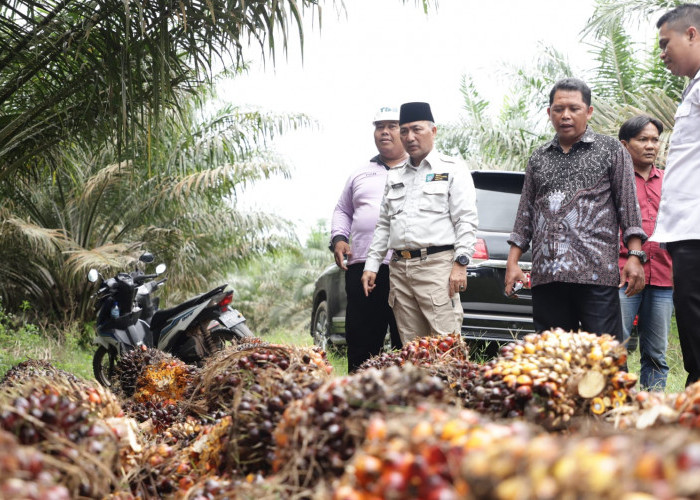 Pemkab Muba Dorong Pengembangan Ekonomi Masyarakat Melalui Sektor Komoditi