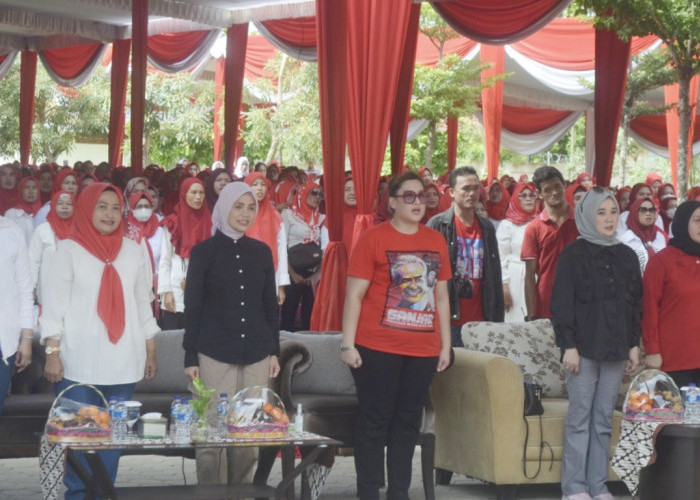 Safari Politik ke Palembang, Siti Atikoh Ganjar Janjikan Insentif Kader Posyandu