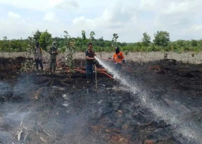 BPBD PALI Catat 29 Kasus Karhutla Sepanjang Agustus 2025, Warga Diminta Waspada