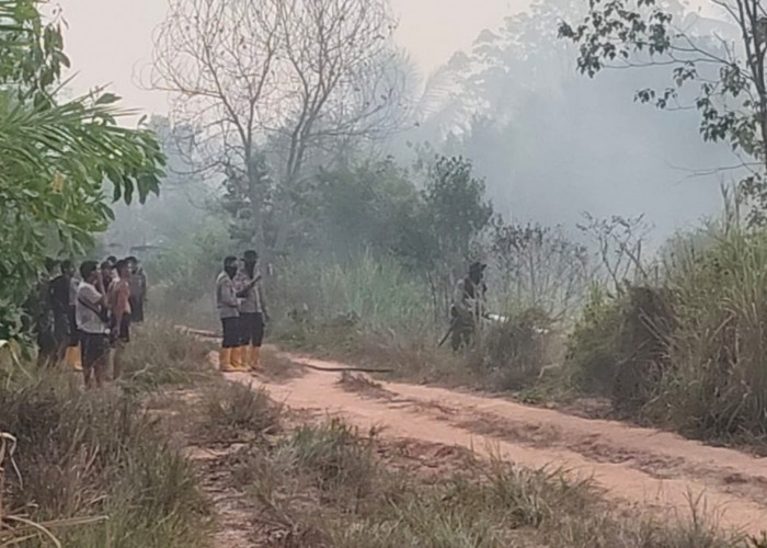 Tim Gabungan Padamkan Kebakaran Lahan Seluas 12 Hektare di Desa Pulau Semambu Ogan Ilir