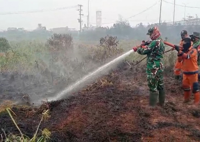 Lahan Semak Belukar 8 Hektar di Muara Batun  Jejawi OKI Terbakar, Tim Gabungan Padamkan 