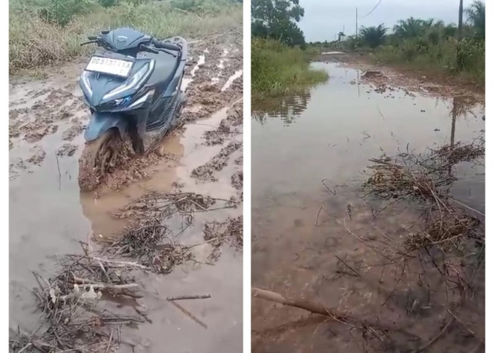 Tak Kunjung Diperbaiki, Bertahun-Tahun Warga Desa Rambutan Ogan Ilir Harus Berjibaku Lewati Jalan Rusak