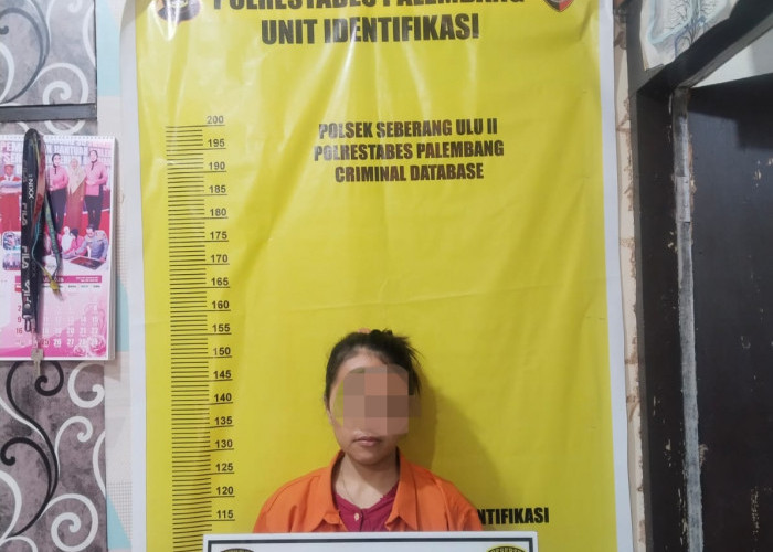 Wanita Ini Berulang Kali Masuk ke Rumah Tetangga Saat Sedang Kosong, Piring dan Mangkok Jadi Barang Bukti 