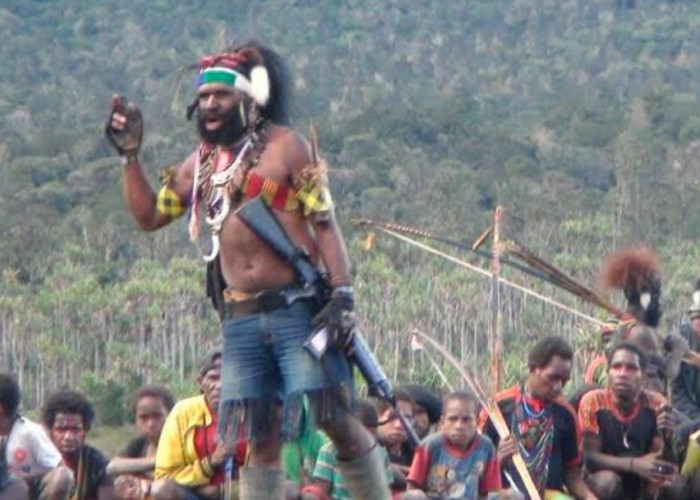 Satu Prajurit Gugur oleh KKB Papua, Berikut Sederet Fakta Catatan Kejahatan Numbuk Telenggen