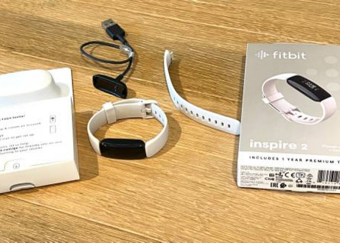 Fitbit Inspire 2, Bukan Hanya Berfungsi  Sebagai Smartwatch Pelacak Kebugaran Juga Bisa Bikin Tampil Kece