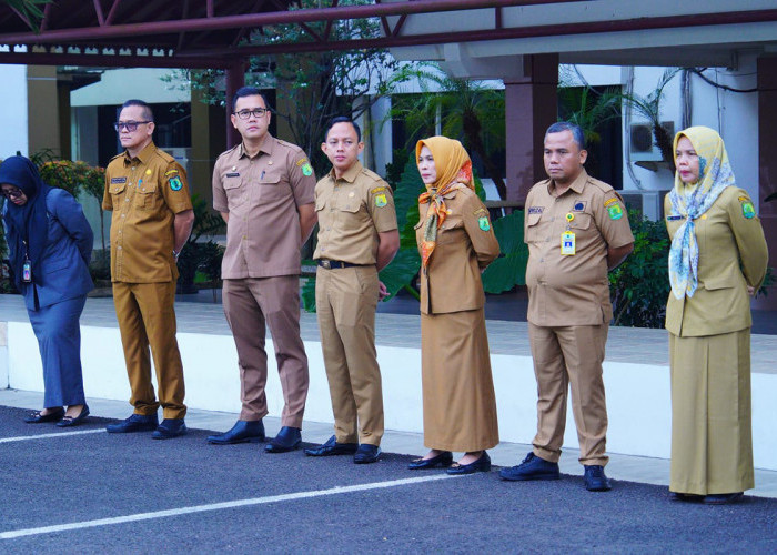 Wajib Tahu! Ini Aturan Baru Seragam Warna Khaki bagi ASN