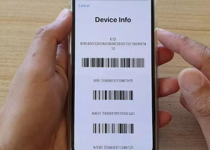 5 Cara Mengecek IMEI iPhone Usai Apple Merilis iPhone 16