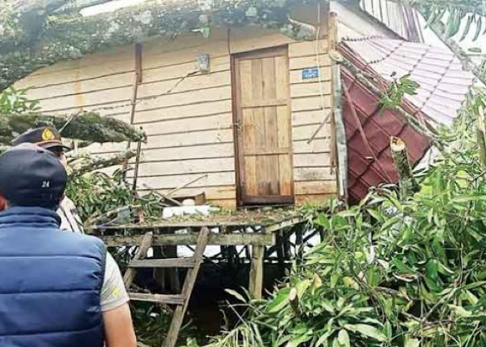 Total 802 Rumah di Sumsel Rusak Akibat Puting Beliung, Korban Jiwa Nihil Namun Tetap Harus Lebih Waspada  