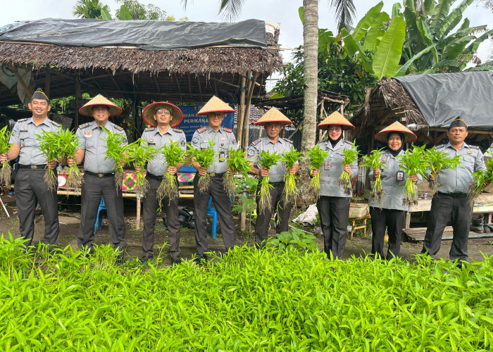 Lapas Tanjung Raja Ogan Ilir Panen 145 Kg Kangkung dari Lahan Asimilasi dan Edukasi