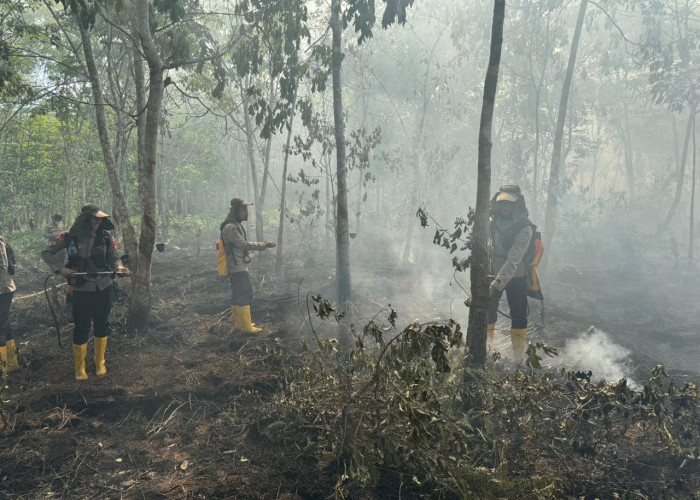 Dibantu Helikopter Water Bombing, Personel Gabungan Berjibaku Padamkan Karhutla di Lempuing Jaya OKI 