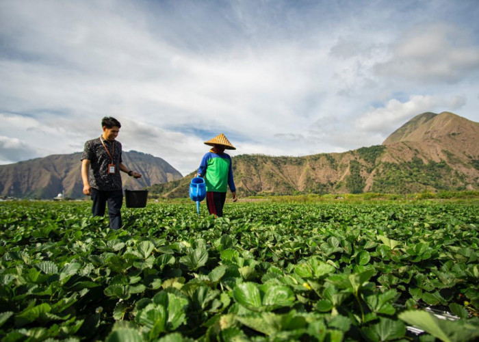Indeks Bisnis UMKM BRI Q3-2025: Ekspansi Berlanjut, Optimisme Pelaku Usaha Semakin Meningkat