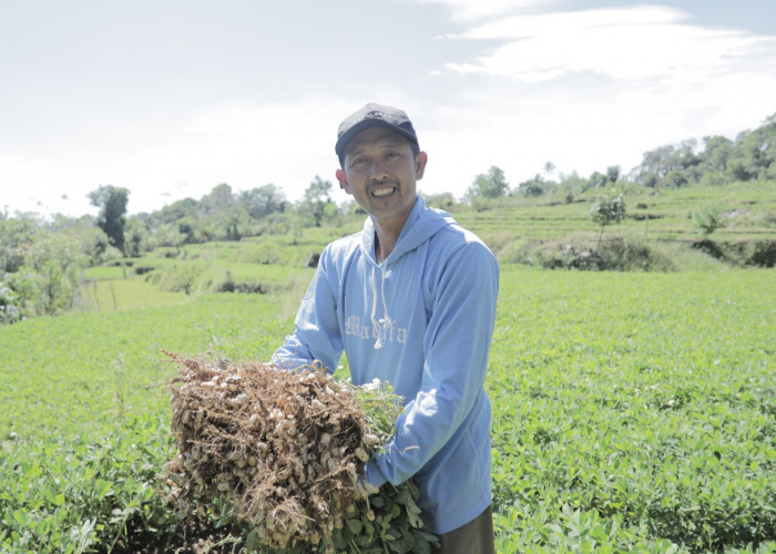 Desa BRILiaN Tompobulu: Bukti Nyata Sinergi Potensi Lokal dan Digitalisasi Dorong Ekonomi Berkelanjutan 
