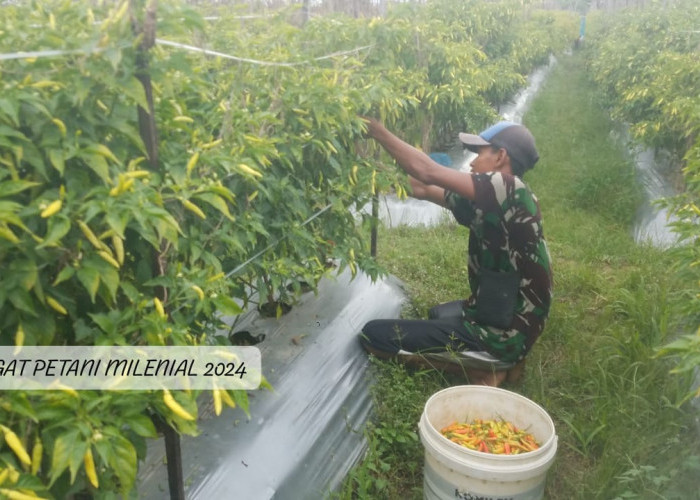 WOW! Mentan Tawarkan Gaji Rp 10juta untuk Gen Z Jadi Petani, Ini Syarat dan Cara Daftarnnya