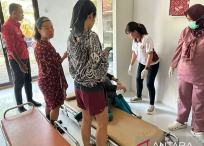 Terdampak Abu Vulkanik Gunung Dukono, 3 WNA Singapura Berhasil Dievakuasi, ini Kondisinya