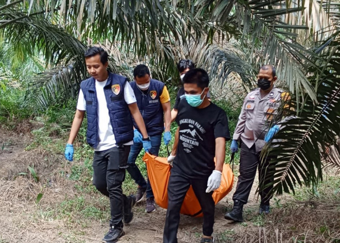 Polisi Temukan Rekaman Video Aksi Bunuh Diri Pria Membusuk di Pelepah Kelapa Sawit, Motifnya Bikin Elus Dada