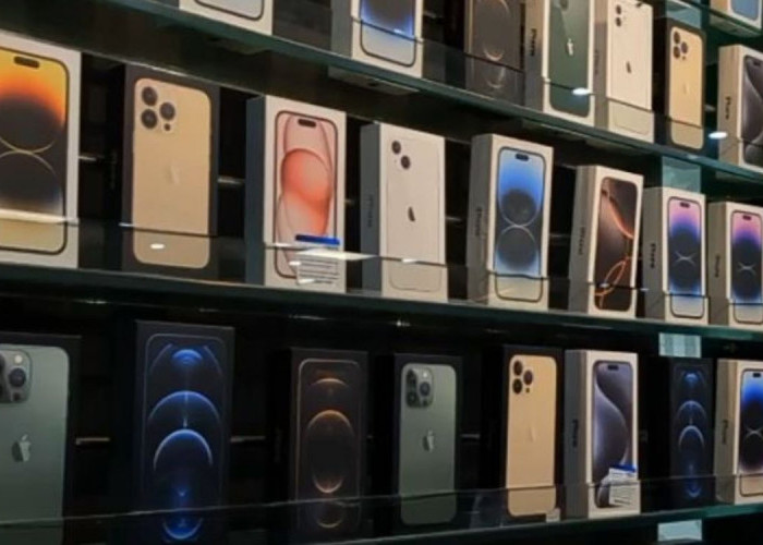 Mau Upgrade HP Baru Tapi Galau: Ini 6 iPhone Paling Worth It di Tahun Ini!