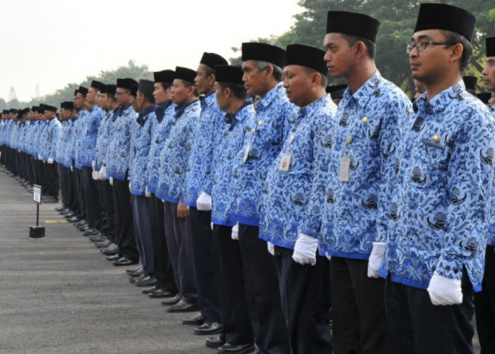 ASN Bisa Mutasi dalam Waktu 6 Bulan, Sinyal Positif BKN Benarkah! 
