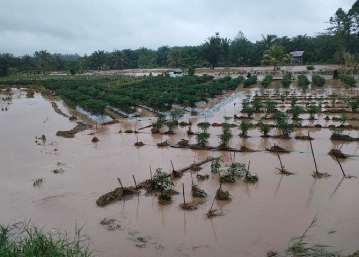 Banjir Landa Kikim Selatan, 5 Desa Terdampak