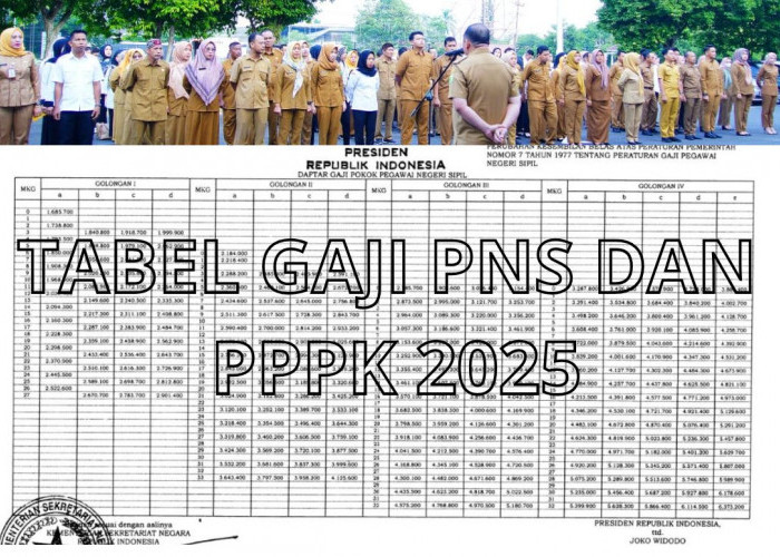 Resmi Ditetapkan, Gaji PNS dan PPPK 2025 akan Menerima Sebesar Ini, Per Bulan Melalui Kementerian Keuangan