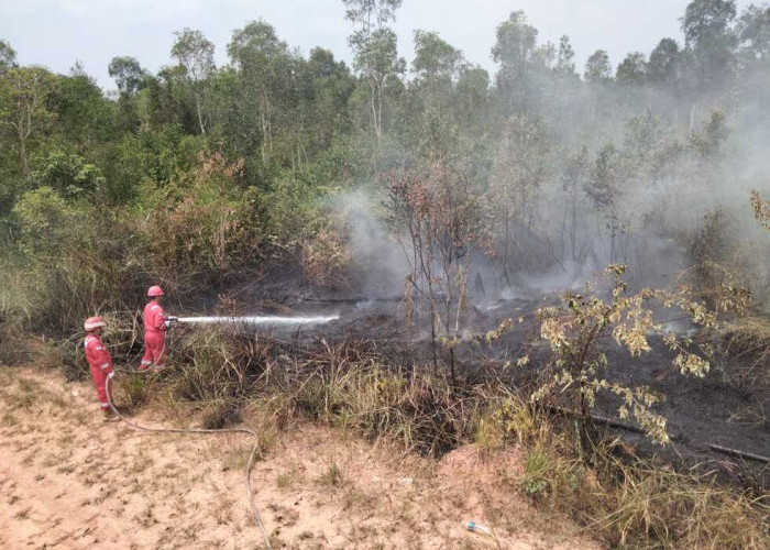 Bersama Perangi Asap, Pertamina EP Ramba Field Bantu Warga Padamkan Karhutla di Sekitar Wilayah Operasi