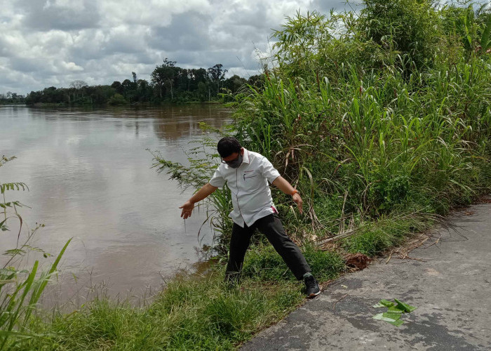 Jalan Poros Penghubung Rawas Ilir-Karang Dapo Terancam Putus Tergerus Sungai Rawas