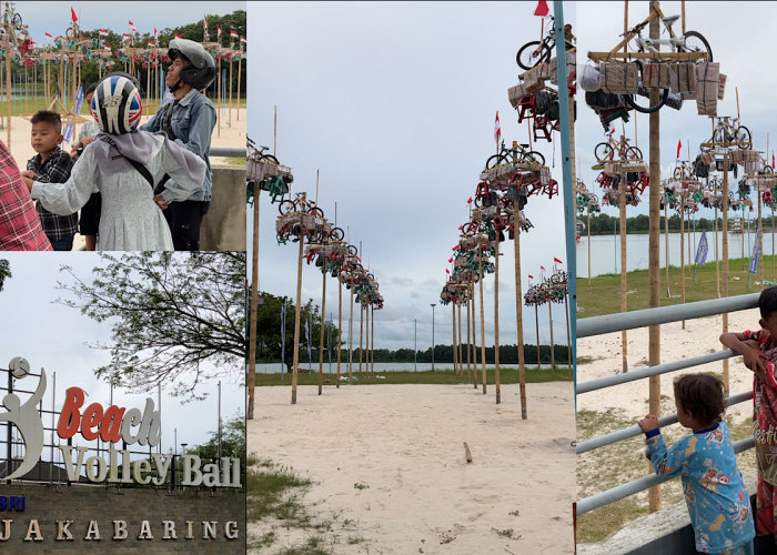 ANTUSIAS, Peserta Panjat Pinang 80 Pohon di Jakabaring Sudah Full, Semua Dicover Asuransi 