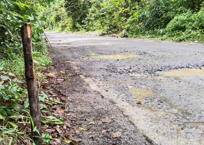 Jalan Menuju Tanjung Pinang Segera Diperbaiki
