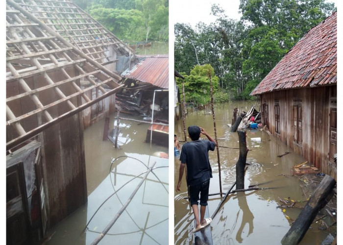 Rumah Warga di Ogan Ilir Roboh ke Sungai Diterjang Hujan Deras dan Angin Kencang