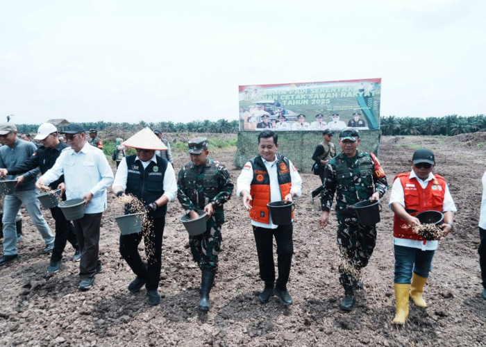 Banyuasin Perkuat Ketahanan Pangan Lewat Tanam Padi Serentak