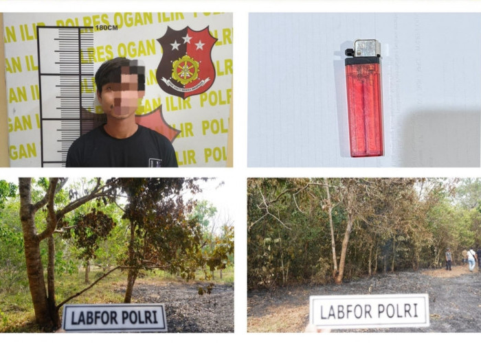 Gegara Pria Ini, Pohon Jengkol dan Karet Warga Terbakar, Berujung Ditetapkan Tersangka Karhutla oleh Polres Og