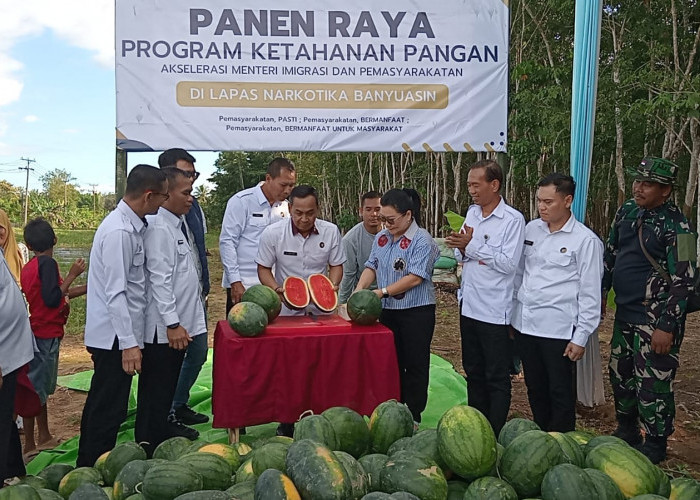 Lahan Kosong Lapas Narkotika Banyuasin Hasilkan 1 Ton Buah Semangka Kualitas Terbaik