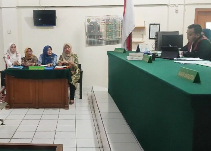 Dituduh Langgar Kode Etik hingga Dipecat Sepihak, PT Andritz Digugat Mantan Karyawati ke PN Palembang